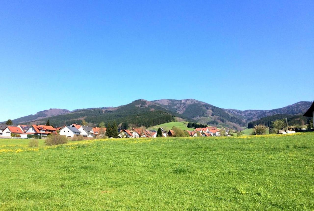 Gemuetliches Haus Im Herzen Des Schwarzwaldes Fuer Bis Zu 9 Personen エルツァッハ エクステリア 写真