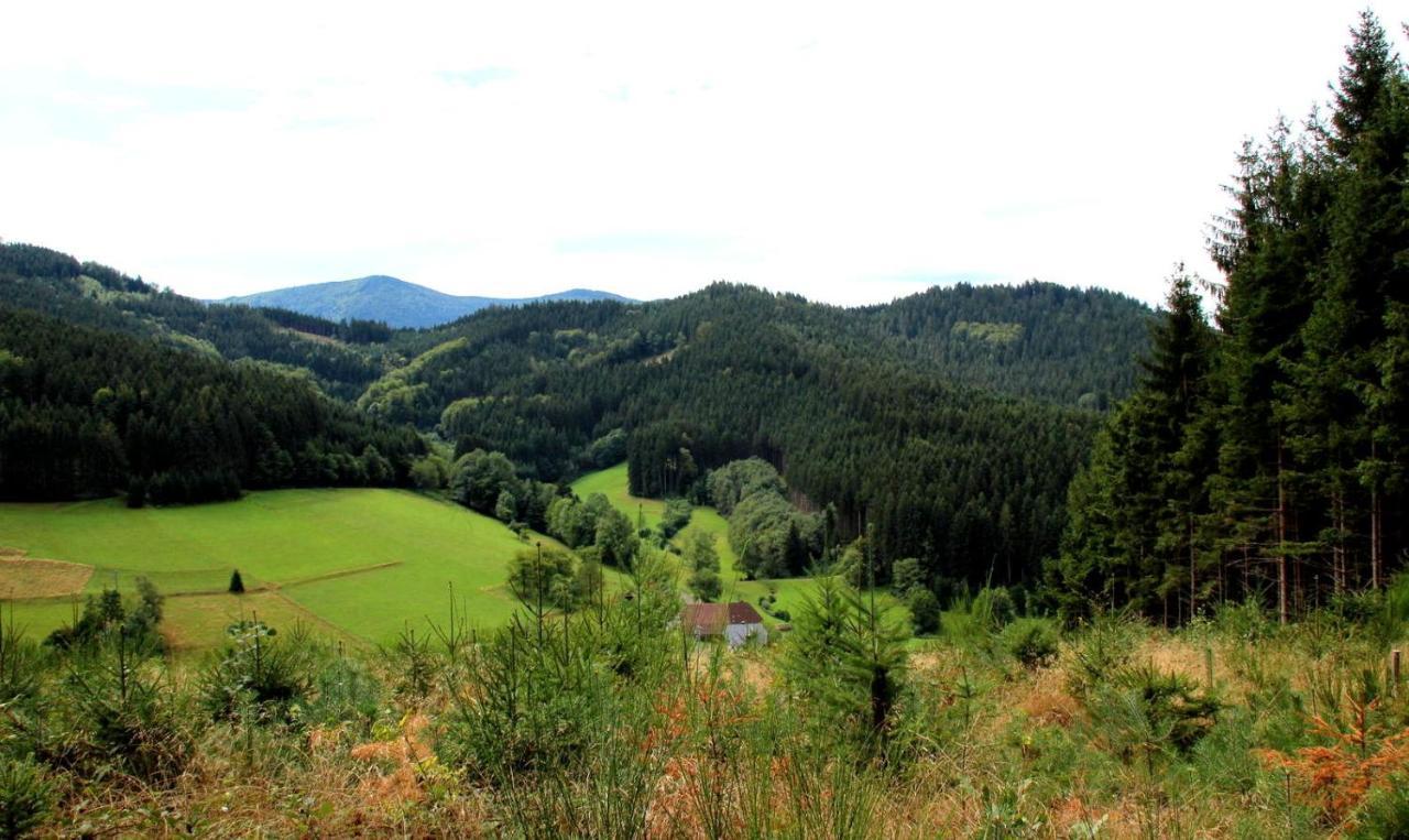 Gemuetliches Haus Im Herzen Des Schwarzwaldes Fuer Bis Zu 9 Personen エルツァッハ エクステリア 写真