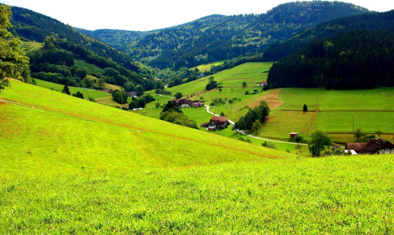 Gemuetliches Haus Im Herzen Des Schwarzwaldes Fuer Bis Zu 9 Personen エルツァッハ エクステリア 写真